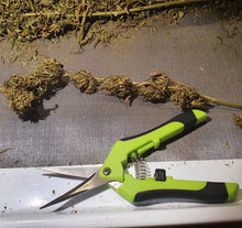 Ladda upp bild till gallerivisning, Snabbputsade Öländska hampablommor.