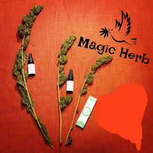 Ladda upp bild till gallerivisning, Snabbputsade Öländska hampablommor.