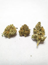 Ladda upp bild till gallerivisning, CBG Premium