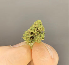 Ladda upp bild till gallerivisning, Popcorn Kush