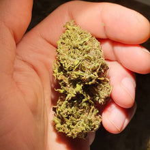 Ladda upp bild till gallerivisning, Snabbputsade Öländska hampablommor.