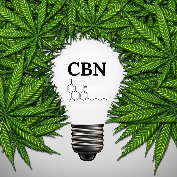 CBN - Vad är cannabinol?